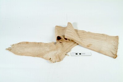 Archived Images\B_numbers\B1-B500\B351.01.jpg; B351.a-b; ;